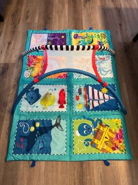Baby Einstein Discovery Play Mat